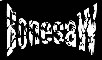 logo Bonesaw (AUS)